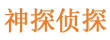 隆安市私家侦探